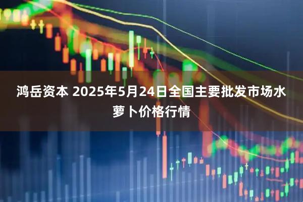 鸿岳资本 2025年5月24日全国主要批发市场水萝卜价格行情